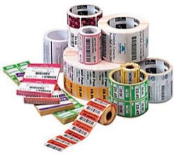 Zebra 50mm X 25mm P/ Tt (5500lpr) 10000288