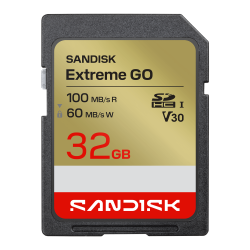 SanDisk 32G Extreme Go Sd Uhs-I Card (Sdsdxgn-032G-Gncin) FFCSAN32GSDXGN