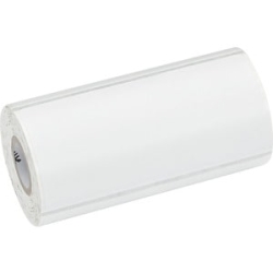 Label Paper 4x2in 101.6x50.8mm Dt Z-Perform 1000D Value Uncoated Permanent Adhesive 0.75in 19.1mm Core 230/roll Plain 10026372