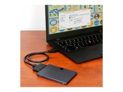 Startech USB 3.1 To 2.5" Sata Drive Adapter, 2YR USB312SAT3CB