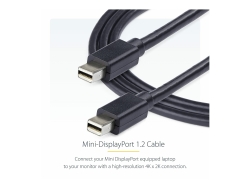 Startech.Com 2M Mini DP Cable - M/M MDISPLPORT6