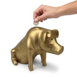 Urban Attitude Piggy Money Box - Matte Gold UA-UT170822GLD