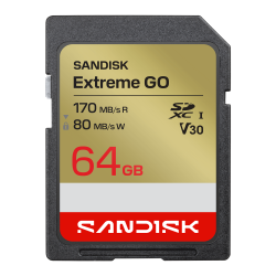 SanDisk 64G Extreme Go Sd Uhs-I Card (Sdsdxgn-064G-Gncin) FFCSAN64GSDXGN