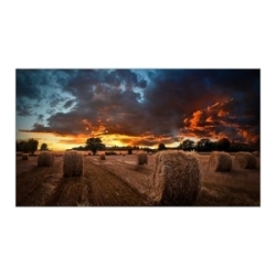 Samsung Vm55B-U 55" LCD Digital Signage Display - 1920 X 1080 - LED - 500 Cd/m² - 1080p - USB - Hdmi - Dvi - Serial - Ethernet LH55VMBUBGBXXY