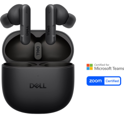 Dell EB525 Pro Plus Earbuds - 2YR 520-BBNG