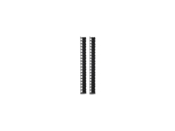 APC (AR7721) Vertical Cable Manager For Netshelter Sx 600MM Wide 42U (Qty 2) AR7721