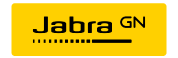 Jabra (4993-823-369) Evolve 20 Se USB C/ A, Ms Mono 4993-823-369