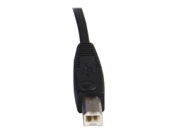 Startech 1.8M 2-In-1 USB Kvm Cable - USB VGA Kvm Cable, Ltw SVUSB2N1_6