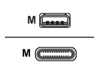 Cisco - USB C - USB A Cable, 4 Meters Long CAB-USBC-4M-GR=