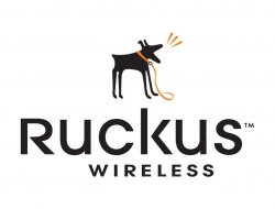 Ruckus POE ADAPTER (10/100/1000 MBPS) WITH AU POWER ADAPTER, QUANTITY OF 1 UNIT 902-0162-AU00