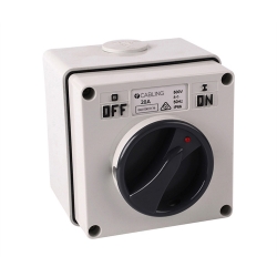 4C | Surface Switch IP66 2Pole 500V 20A 040.000.0136