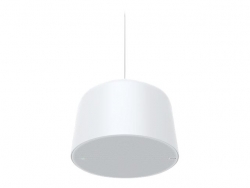 AXIS C1510 NETWORK PENDANT SPEAKER - LARGE