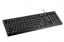 CLiPtec KLASSIC USB STANDARD KEYBOARD (SPILL-RESISTANT DESIGN) - Black (AKBRZK247BK)