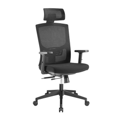 Brateck Ergonomic Mesh Office Chair with Headrest (655x675x1165-1265mm) Up to 150kg - Mesh Fabric CH05-17