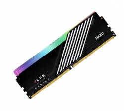 PNY 16GB (1x16GB) DDR5 UDIMM 6000MHz CL38 Desktop PC Memory RGB MD16GSD5600038MXRGB