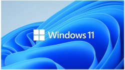Microsoft Windows 11 Professional for Workstation 64 BIT - By Order NEW HZV-00101