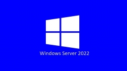 Microsoft Server Standard 2022 ( 24 Core ) OEM Physical Pack - P73-08346 Indludes 2 x VM, Does not include any CALs P73-08346