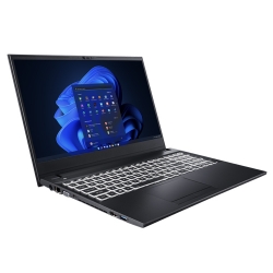 Leader Companion Plus 5C1, 15.6" FHD, Intel i7-1355U, 16GB DDR4, 500GB NVMe SSD, DVDRW, Wi-Fi 6, Iris® Xe, HD Camera, Windows 11 Pro, 2 Year Warranty SCP5-C1-I7P