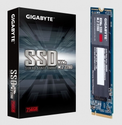 GIGABYTE NVMe SSD 256GB GP-GSM2NE3256GNTD