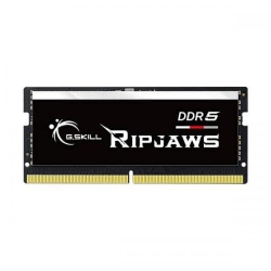 G.SKILL F5-4800S4039A16GX1-RS 16GB (1 x 16GB)/ DDR5 4800 MT/s / Timings 40-39-39-76/ Voltage 1.1V/ Ripjaws F5-4800S4039A16GX1-RS