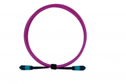 10m MPO-MPO 8F Multimode OM4 Fiber Optic Cable | Magenta - MPOFF-OM4-10M-8