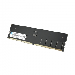 HP X2 DDR5 5600MHz 16GB UDIMM CL46 1.1V 5-Year Limited Warranty 6G0R1AA#ABB