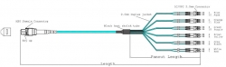 MPO Cable Indoor Riser MM OM4 12 Core - MPO Female to LC Duplex Fanout 10m Type B