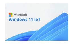 Microsoft Windows 11 IOT Enterprise Multi Language OLC - By Order - NO Refund once issued - Key Only FZP-00024