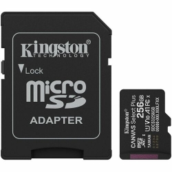 Kingston Canvas Select Plus 256 GB Class 10/UHS-I (U1) V10 microSDXC - 1 - 150 MB/s Read SDCS3/256GB