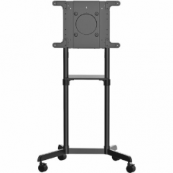 StarTech.com Mobile TV Cart, Portable Rolling TV Stand, 37-70 inch VESA Display Mount (154lb/70kg), Shelf & Storage, Rotate/Tilt Display - 69.85 kg Capacity - 4 Casters - Steel, Polyurethane - 702 mm Length x 920 mm Width x 1600 mm Height MBLTVSTNDEC