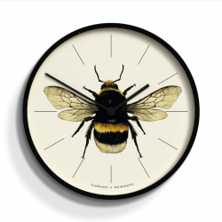 Newgate Number Three Londonetti X Newgate - Bee NGNUMTHR-BEE-K