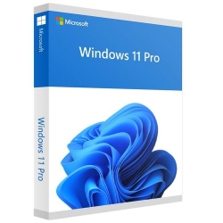 Microsoft Windows 11 Pro - 64-bit USB - USB - English International - Full Package Product HAV-00163