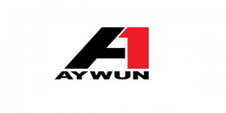 Aywun SQ05v2 4PIN EPS to 8PIN EPS Cable - for CAA1-SQ05-300W-V2 SQ05 EPS Cable