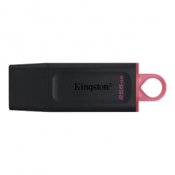 Kingston 256GB DataTraveler Exodia USB 3.2 Gen 1 (DTX/256GB)