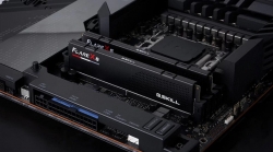 G.SKILL F5-6000J3644D64GX4-FX5 256GB (4 x 64GB)/ DDR5 6000 MT/s/ Timings 36-44-44-96/ Voltage 1.25 V/ Flare X5 / EXPO F5-6000J3644D64GX4-FX5
