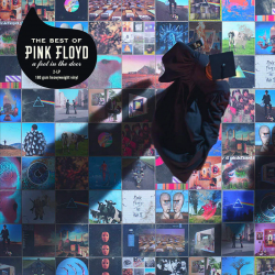 Pink Foyd The Best Of Pink Floyd: A Foot In The Door Vinyl Album SM-88875184381