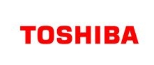 TOSHIBA CL02 16GB USB 2.0 DRIVE - BLACK  PA5355A-1MAK