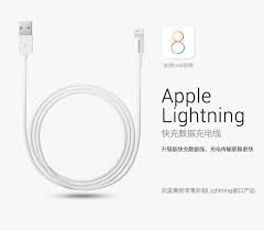 Pisen Iphone Lightning - Usb 2.0 Charge & Sync Cable 1m White Supports Ios7 Al05-1000