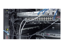 APC (AR8442) Vertical Cable Organizer, 8 Cable Rings, Zero U(Set Of 2) AR8442