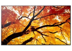 Sharp Bundle: Sharp Digital Display (Pn-M) 65" 4K UHD Display + Atdec Fixed Angle Wall Mou PN-M652-FIXED