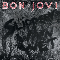 Bon Jovi Slippery When Wet - Vinyl Album UM-4702921