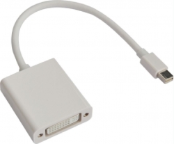 Astrotek Mini Displayport Dp To Dvi Cable 20cm - 20 Pins Male To 24+5 Pins Female Nickle Rohs At-minidpdvi-mf