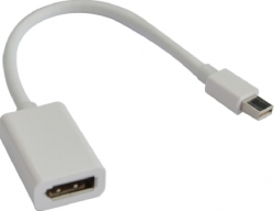 Astrotek Mini Displayport Dp To Displayport Dp Adapter Converter - 20 Pins Male To Female Gold