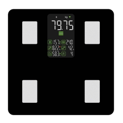 Halo Bluetooth Smart Display Body Scale HO-239845