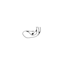 Jabra Electronic Hook Switch Control (Ehs) For Alcatel 8-Series (Ip) And Alcatel 9 Series (Ua) Phones 14201-36