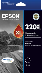 220XL High Capacity DURABrite Ultra Black Ink(Epson WorkForce Wf-2630, Wf-2650, Wf-2660) C13T294192