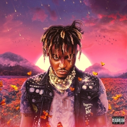 Juice Wrld Legends Never Die - Double Vinyl Album UM-749607