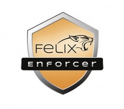 Felix Enforcer Security Protects Against Malware & Threats 1User 1Year Subscription OEM