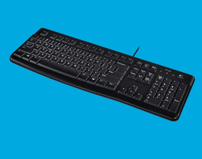 Logitech Keyboard: K120 Wired Usb 920-002582