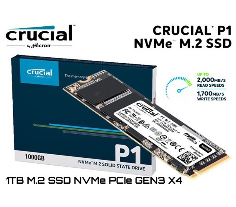 Drastisk Institut Udvalg Crucial P1 1TB 3D NAND NVMe PCIe M.2 SSD CT1000P1SSD8, Read/Write Speeds Up  to